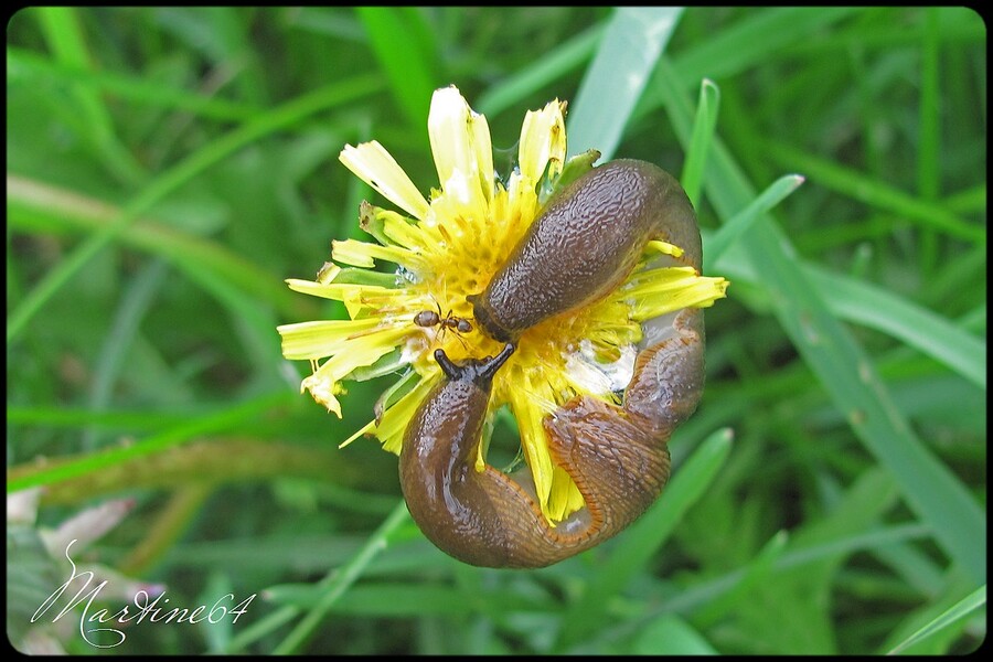 Au bord de l'eau ..... suite