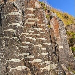 Ancient Rock Carvings Qaqotorq, Greenland