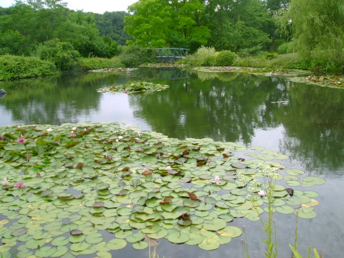 -Le jardin des eaux-