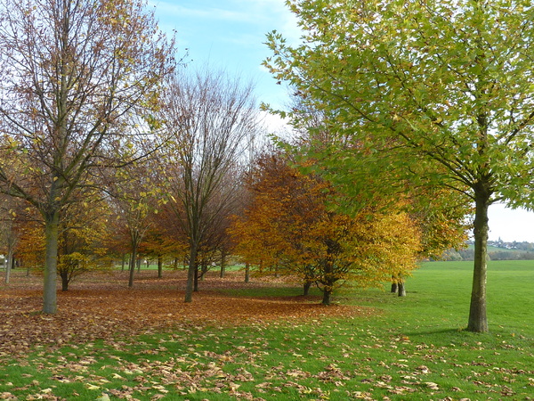 Le Parc Culturel de Rentilly