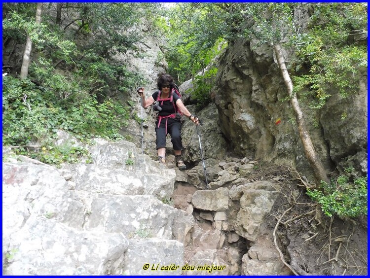 Causse Méjean, les corniches de la Jonte