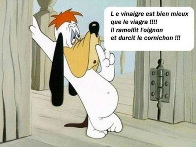 Humour du vendredi ... !!!