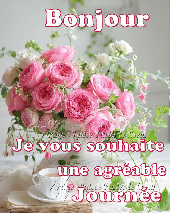 Happy Birthday Greetings, Good Morning, Bon Courage, Quotes, Books ...