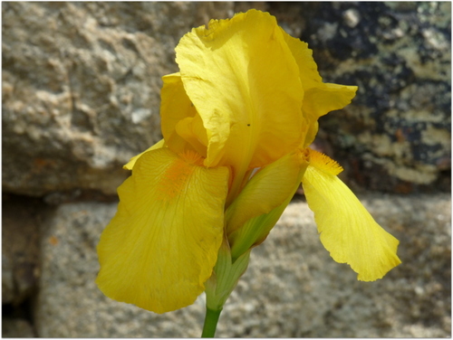 à la campagne,La Chabotterie 