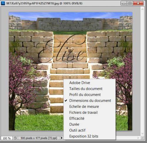 Résolution de l'image