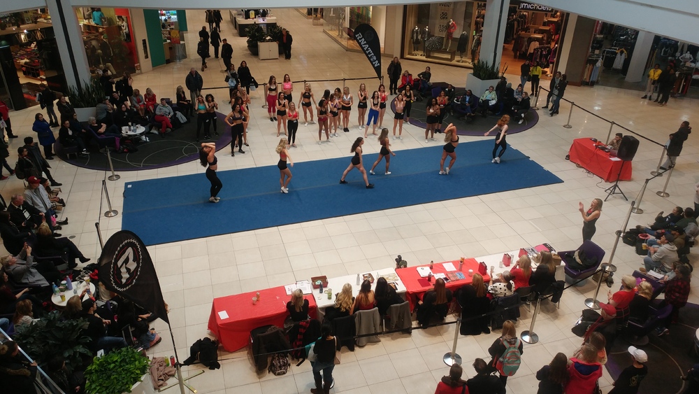2019 Ottawa Redblacks Cheerleading and Dance Team Auditions