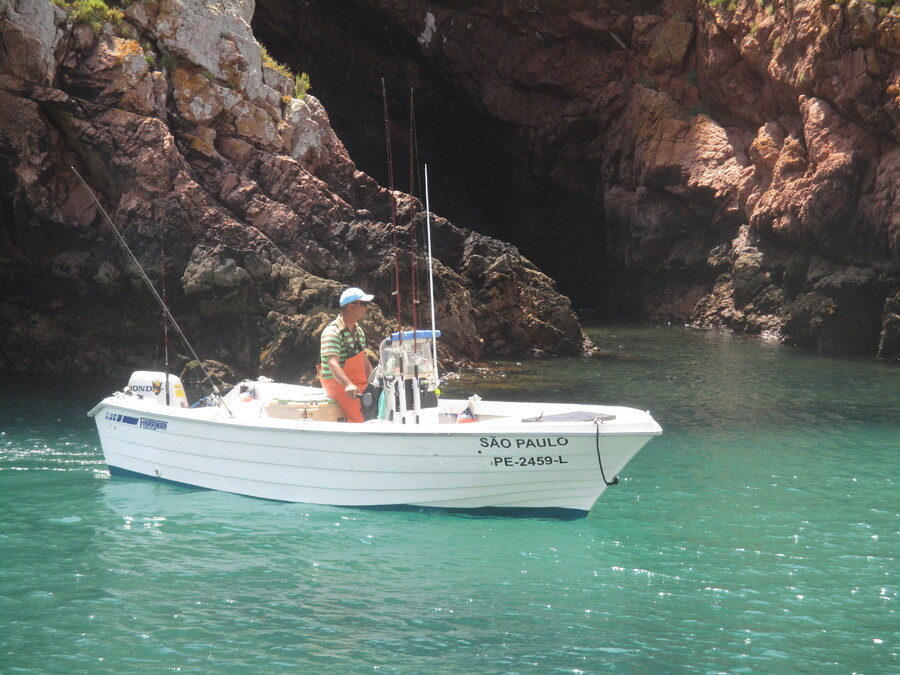 SUITE N° 5  BERLENGA  AU  PORTUGAL