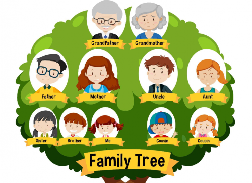  the family