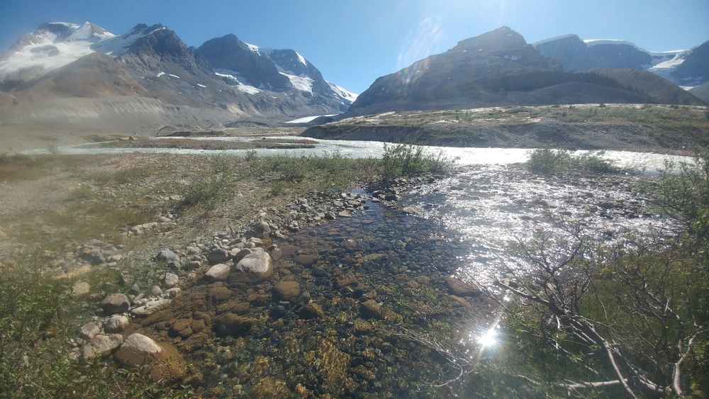 Journey Through Western Canada: Day Twenty-Two: From McBride to Banff