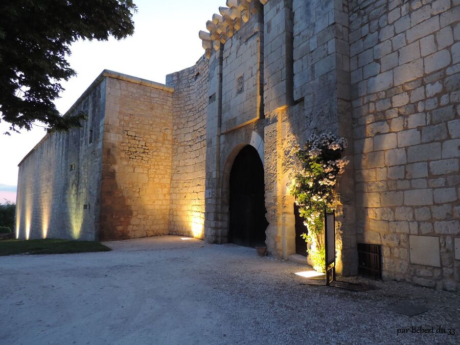 Villebois la Valette , le château (16)