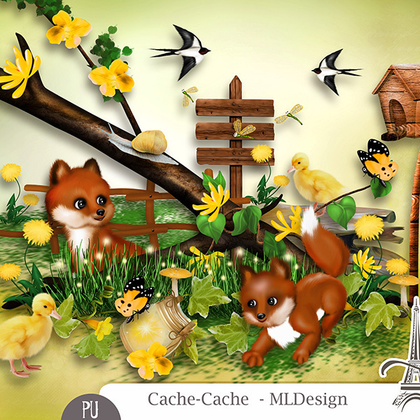 Cache-Cache by MLDesign