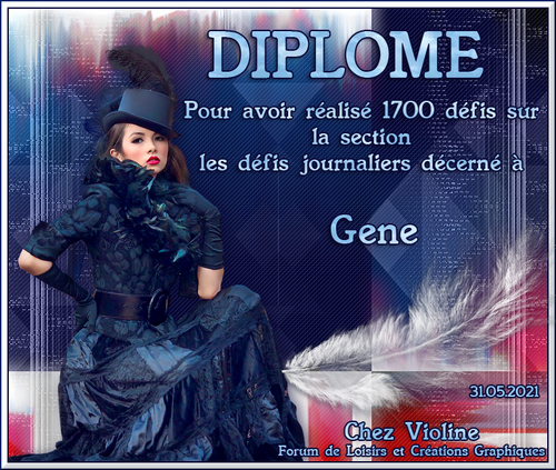 Diplômes défi journalier suite