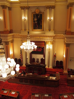 La chambre des Senateurs