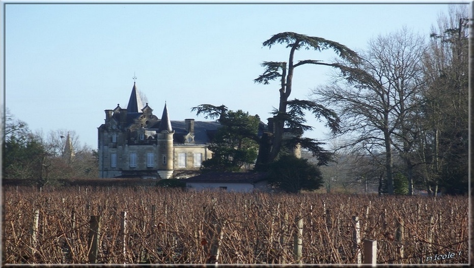 Château Haut-Bergey les chais !    18