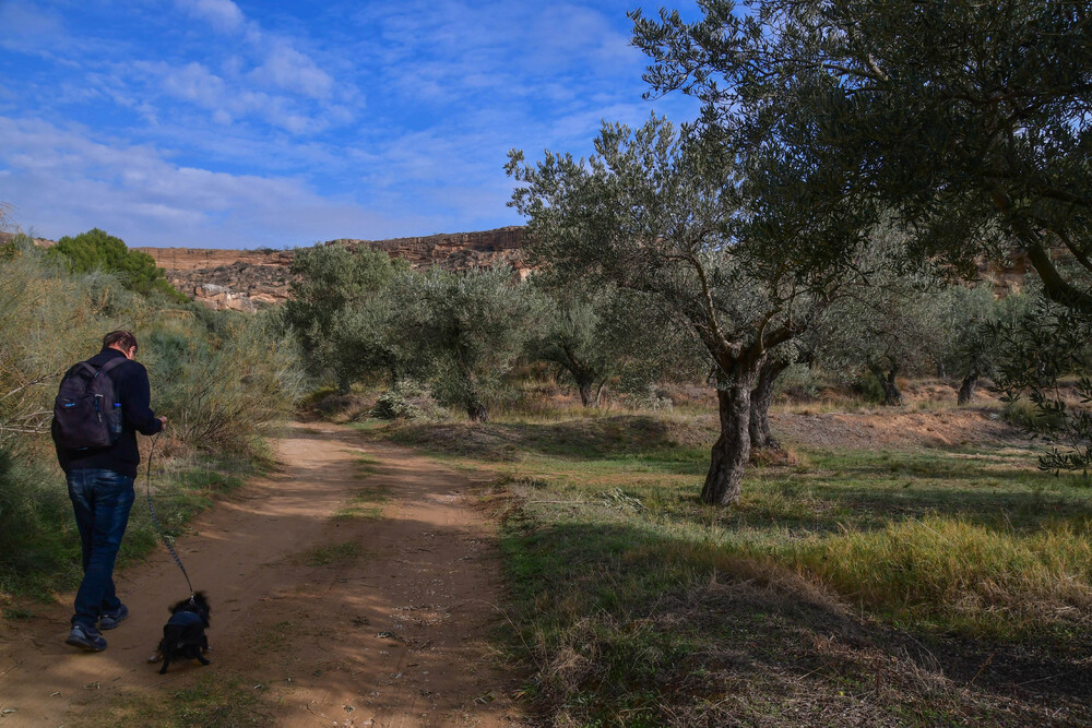 Le désert de los Monégros (2)