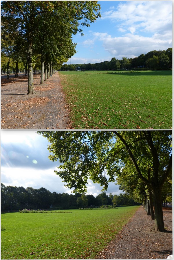 Le Parc de la Hotoie à Amiens, l'étang rond. 