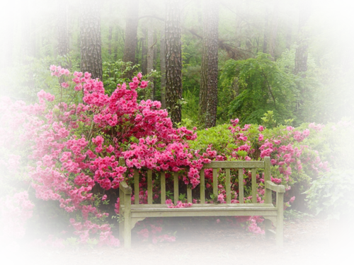 Paysage de printemps / 4