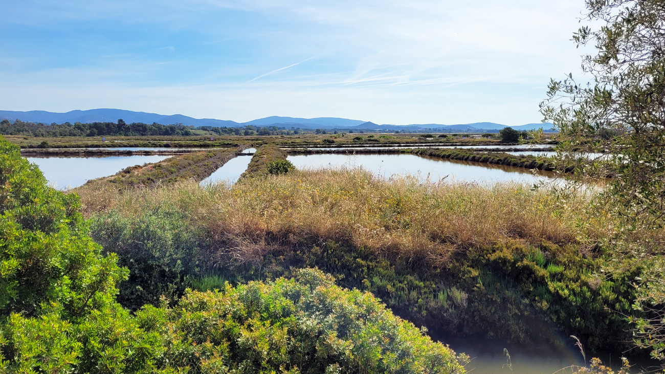 19/7 paysages des vieux salins de Hyères