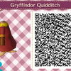 Quidditch Gryfondor