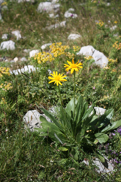 Randonnée au Vallon des Aiguilles