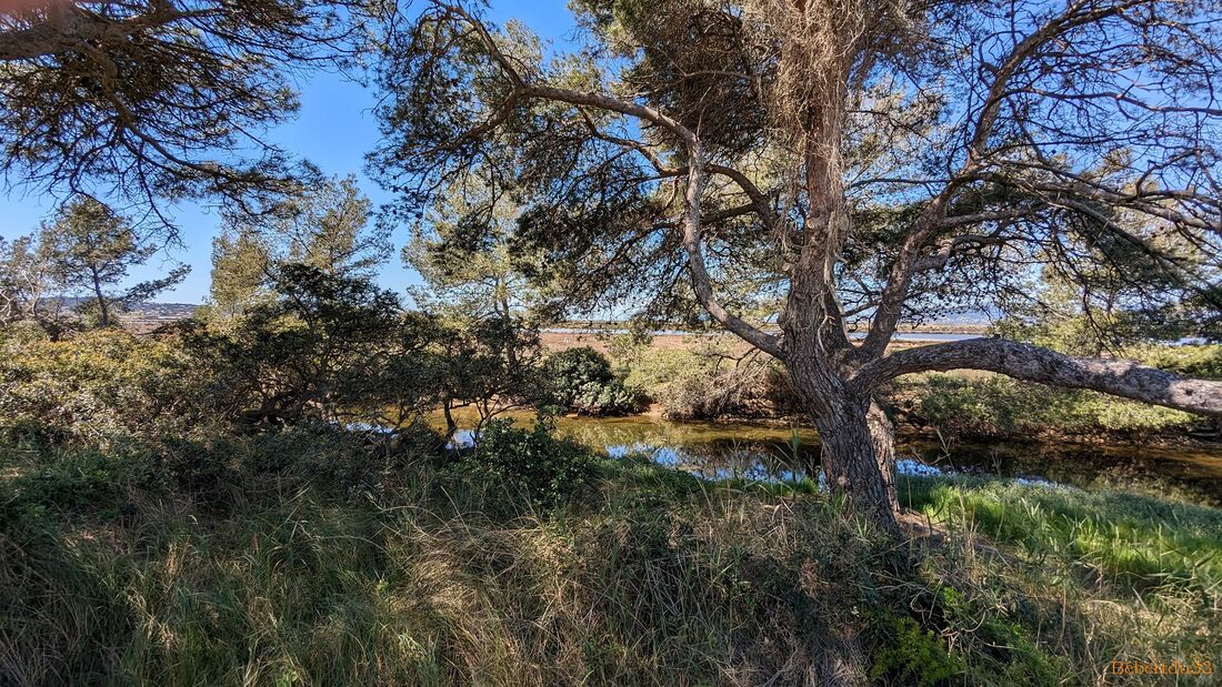 la presqu'île de Giens - 2