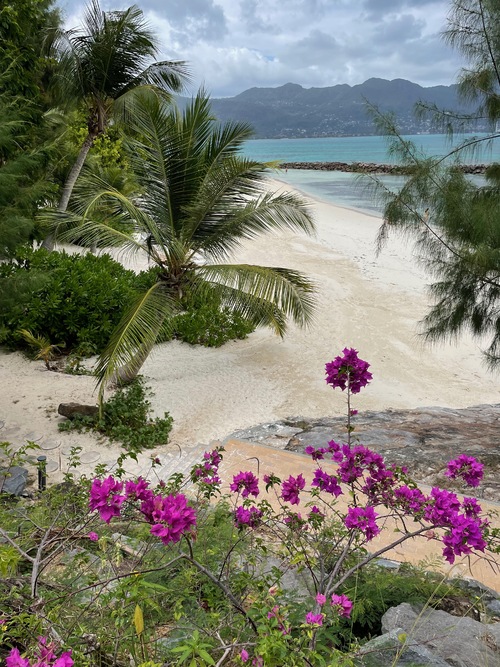 Seychelles, bouquet de fleurs.