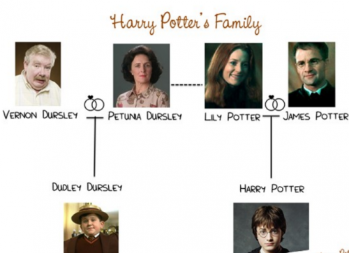 Harry's family
