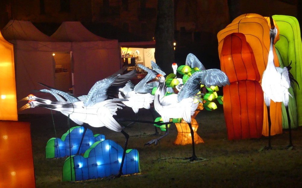 Les grues au Festival des Lanternes Chinoises, à Gaillac...
