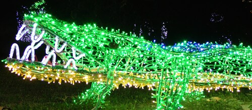 La passeggiata del capodanno 2016