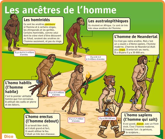 Des documentaires en Histoire (Pinterest)