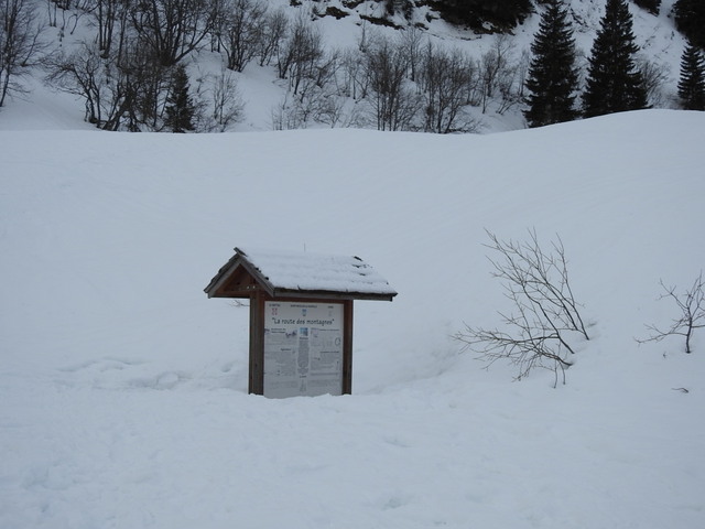 chiens des glaces au col des aravis