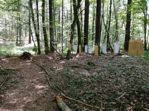 L'inauguration du sentier pédagogique