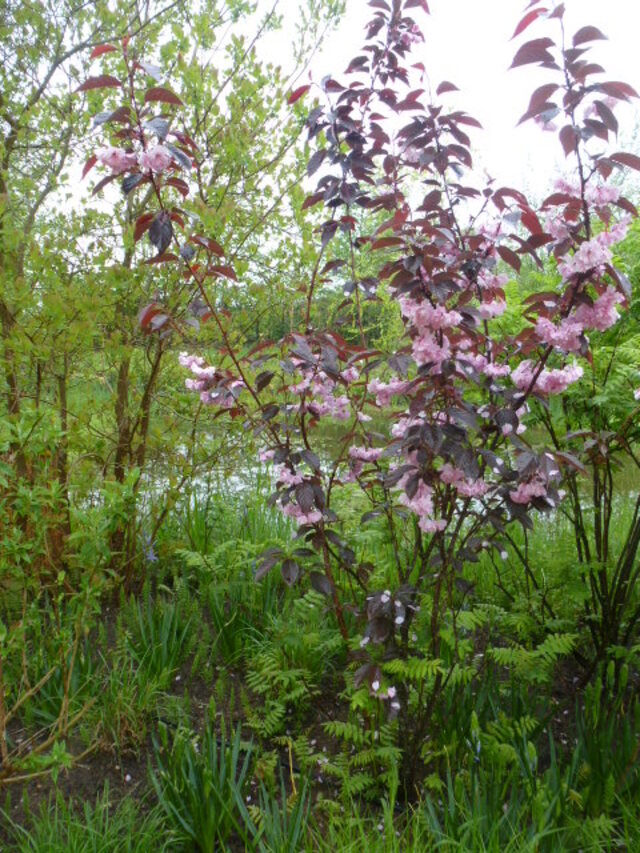 JARDINS DE CHAUMONT, LA POSE GASTRONOMIQUE