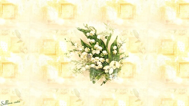 **Fond muguet** 1920 x 1080