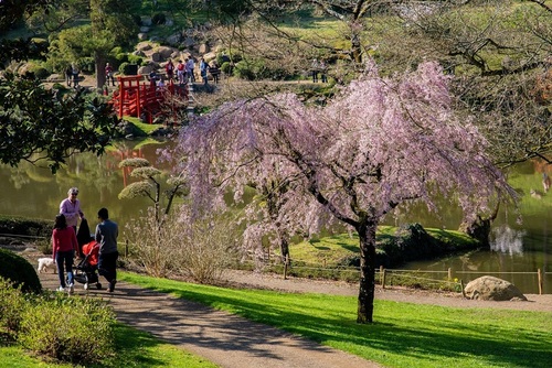 Parc oriental de Maulévrier