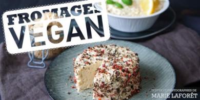 Un de nos livres de recettes préférés : "Fromages vegan" de Marie Laforêt