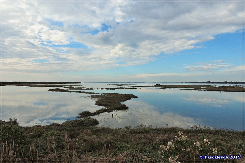 Tour du domaine de Certes - Octobre 2015 - 7/10