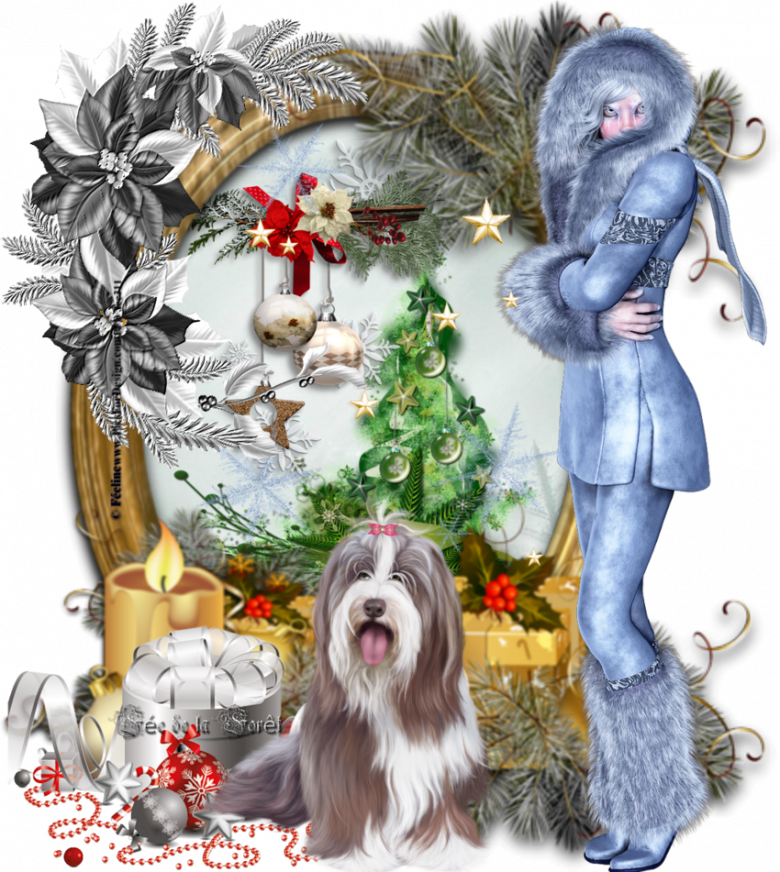 ♥ Merci pour ma Cheyenne ♥