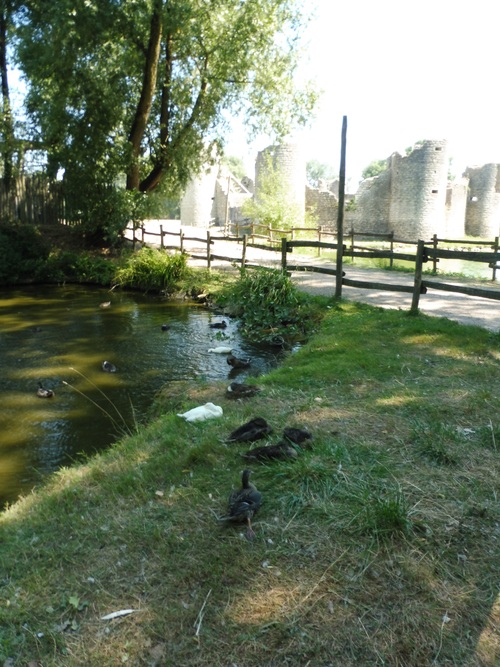 Château de Commequiers en Vendée