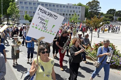 EN IMAGES. Marche contre Bayer-Monsanto à Lorient : « La pire pollution, c’est la résignation ». ( OF.fr - 21/05/22 - 17h27 )