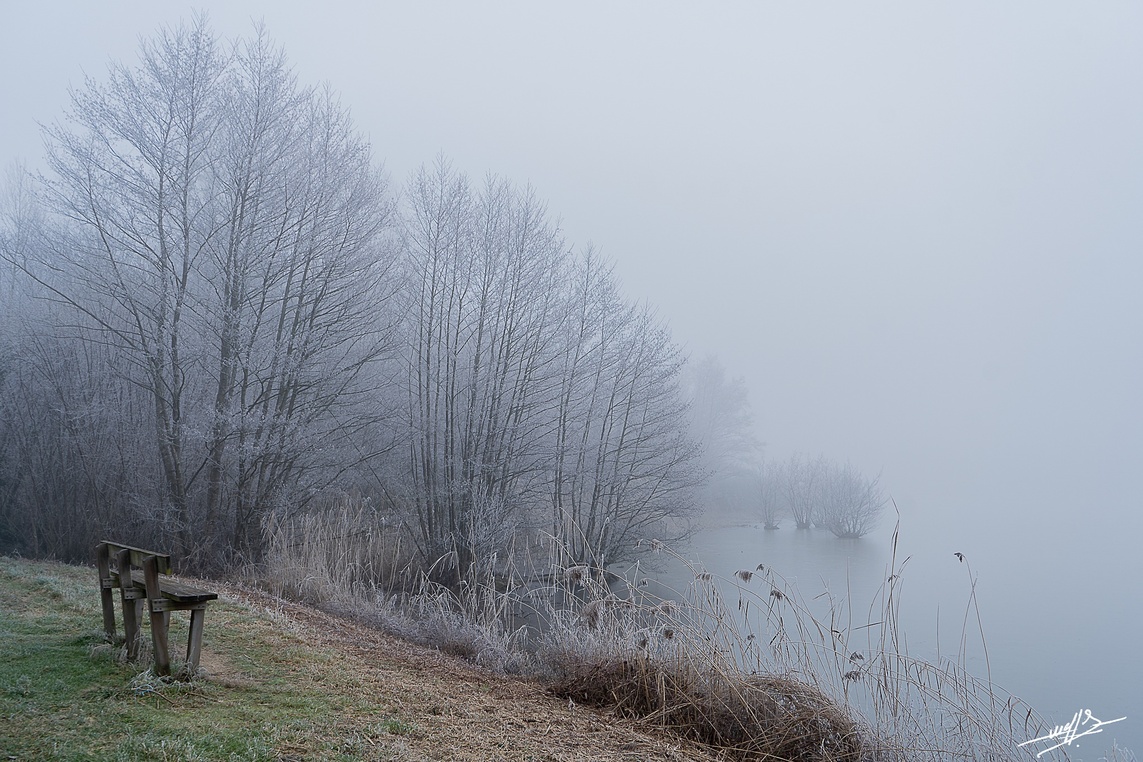 Les étangs de Bresse par un temps de gel (fin)