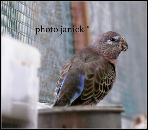 photos