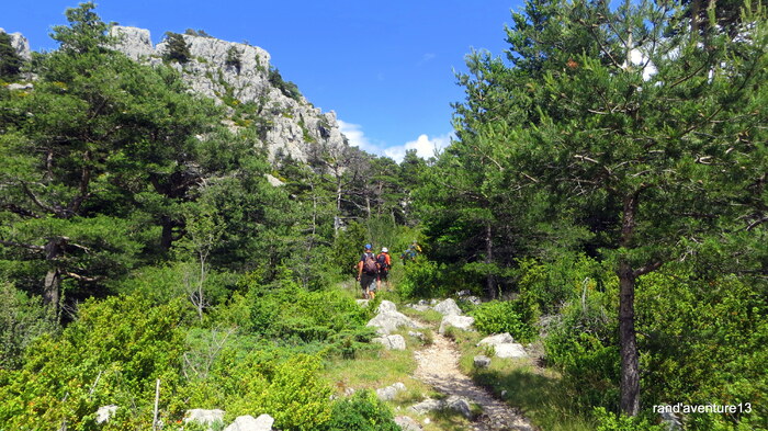 Tête de la Barre de la Sapée