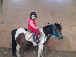 maternelle : activité Poney - séance 1