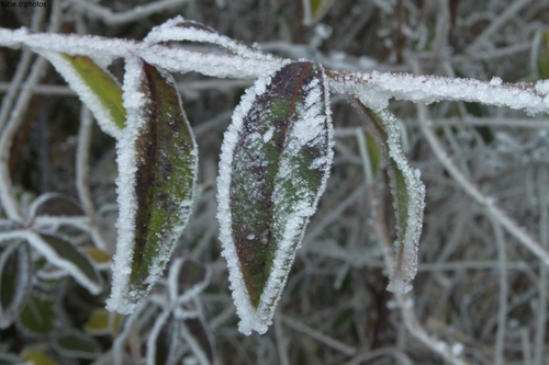 givre