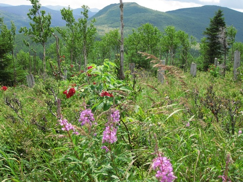 09 Gaspésie