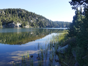 Au bord du lac