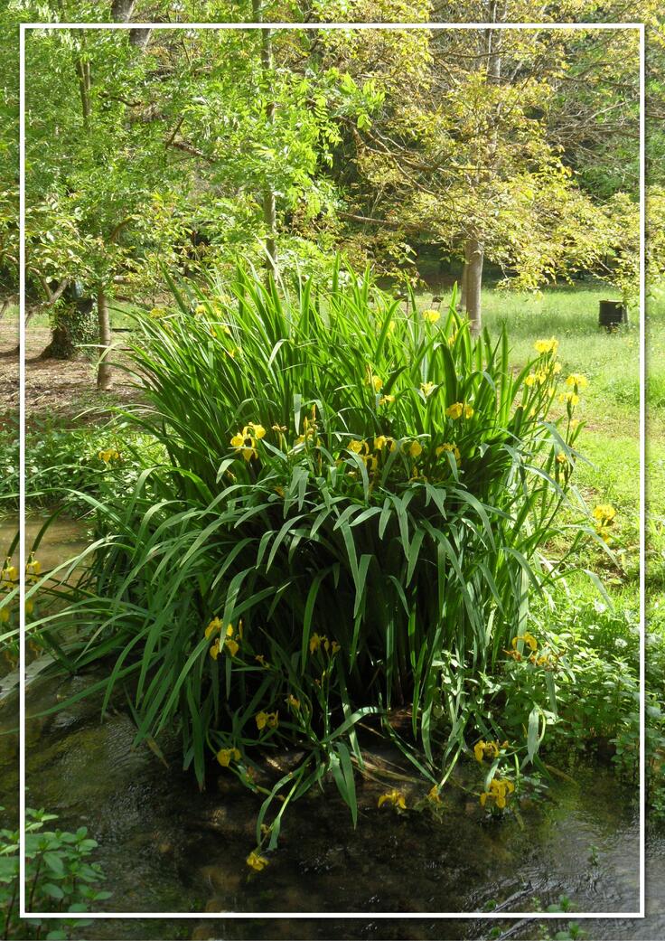 Visite "A fleur d'eau" - 2/3