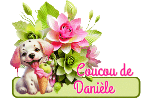 ➡️LISTE DE DANIELE ET DANIELLE