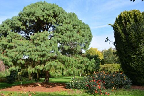 Palmerston Park à Southampton